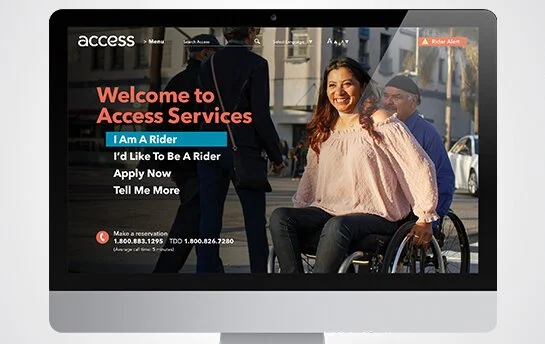 Access Services — Website Design Concept